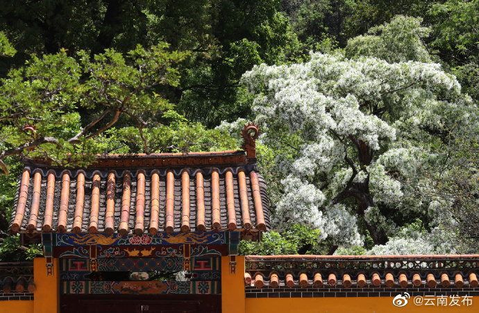 “云南发布”微博