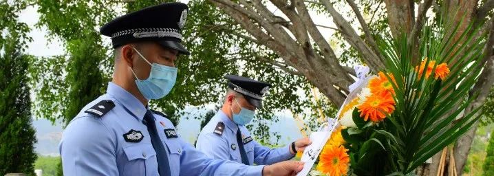 云南法制报