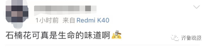 春城晚报