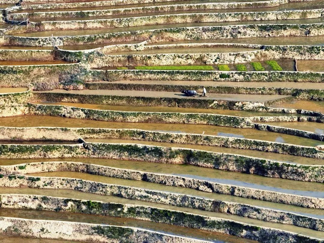 云南省文化和旅游厅