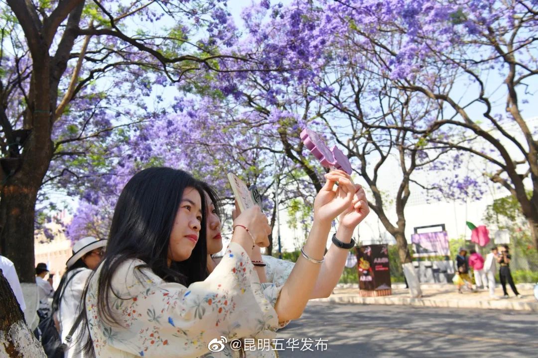 昆明五华发布