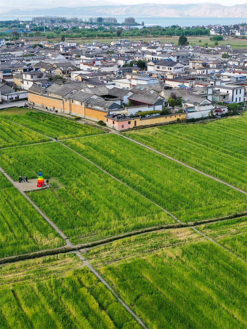 云南省文化和旅游厅