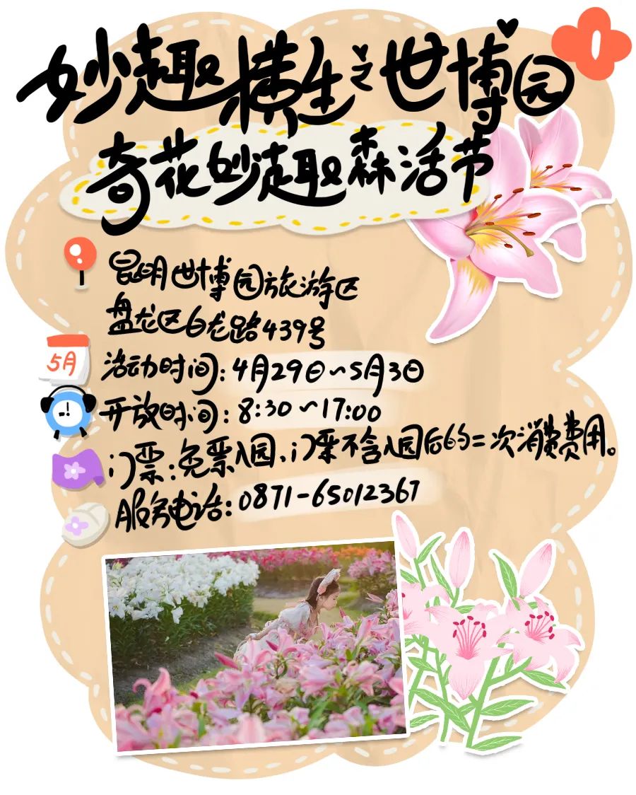 微观盘龙