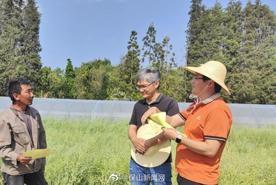 昌宁：推进秸秆禁烧和综合利用