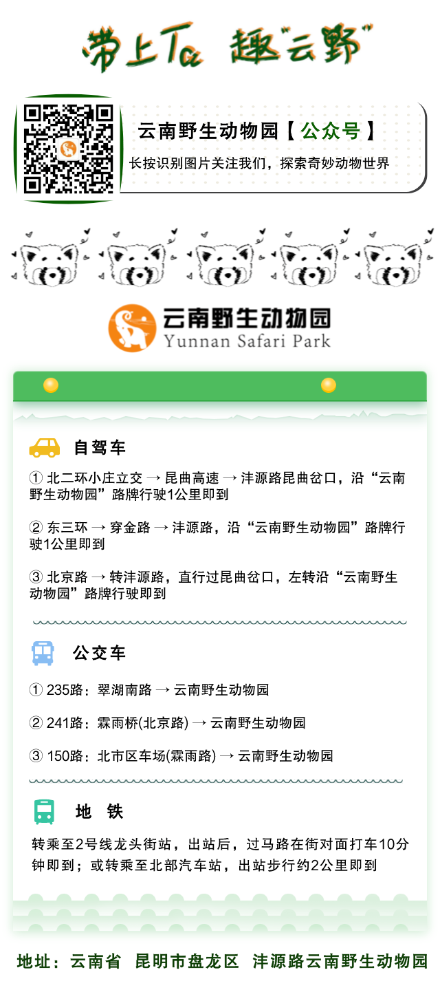 云南野生动物园