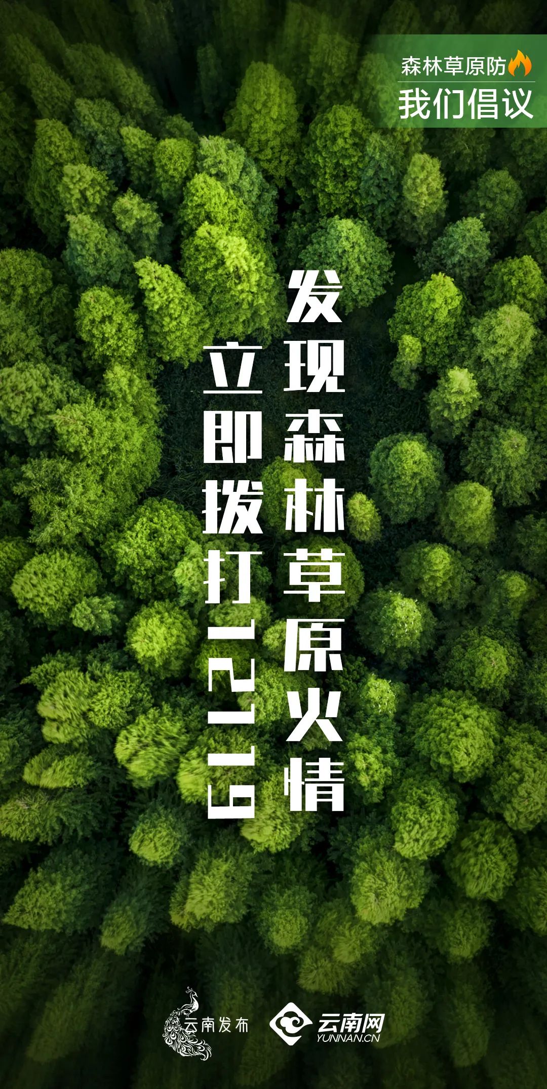 保山新闻网
