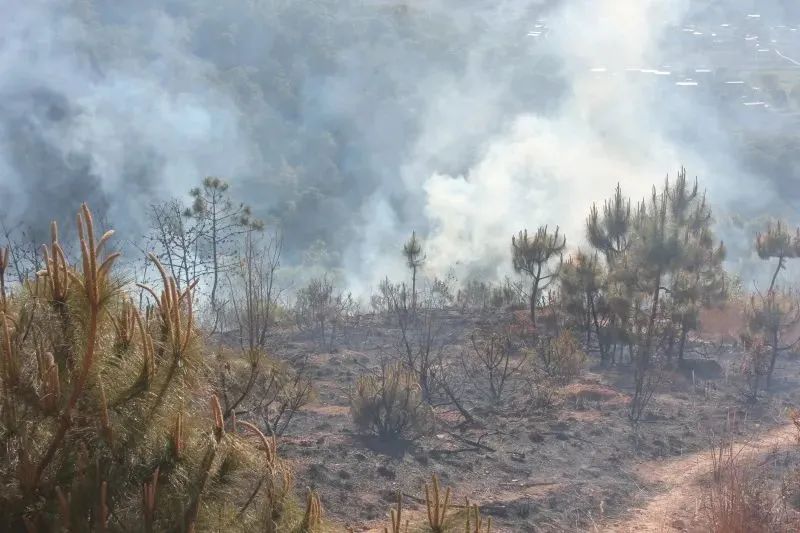 昆明信息港/cnkmxxg