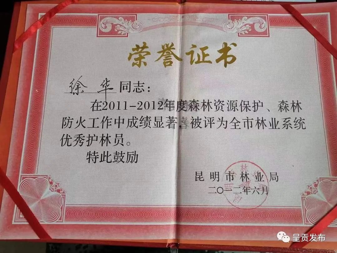 呈贡发布