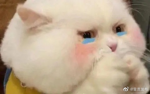 呈贡发布