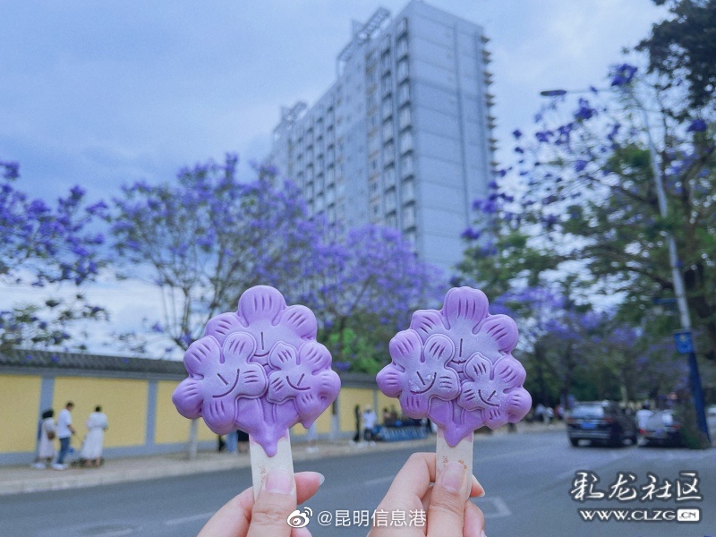 昆明信息港