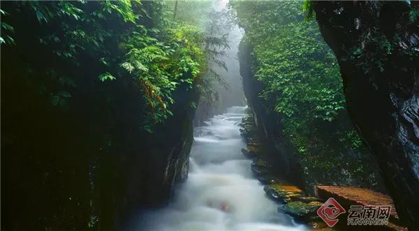 云南省文化和旅游厅