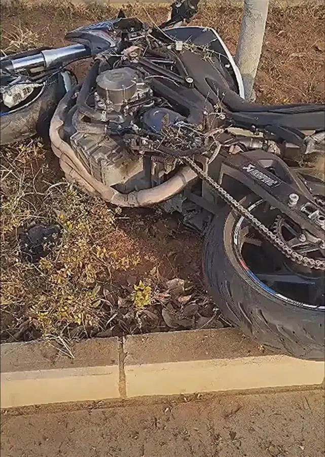 春城晚报
