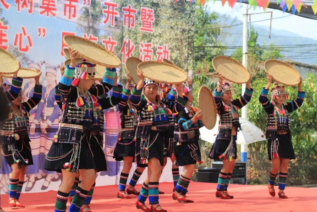 西双版纳望天树景区