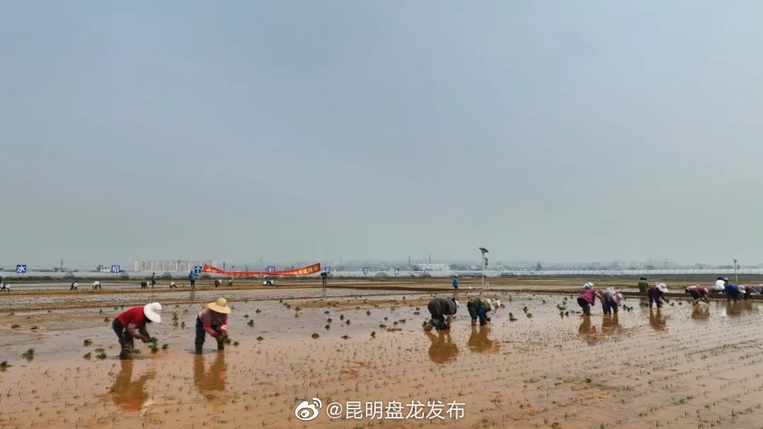 昆明盘龙发布