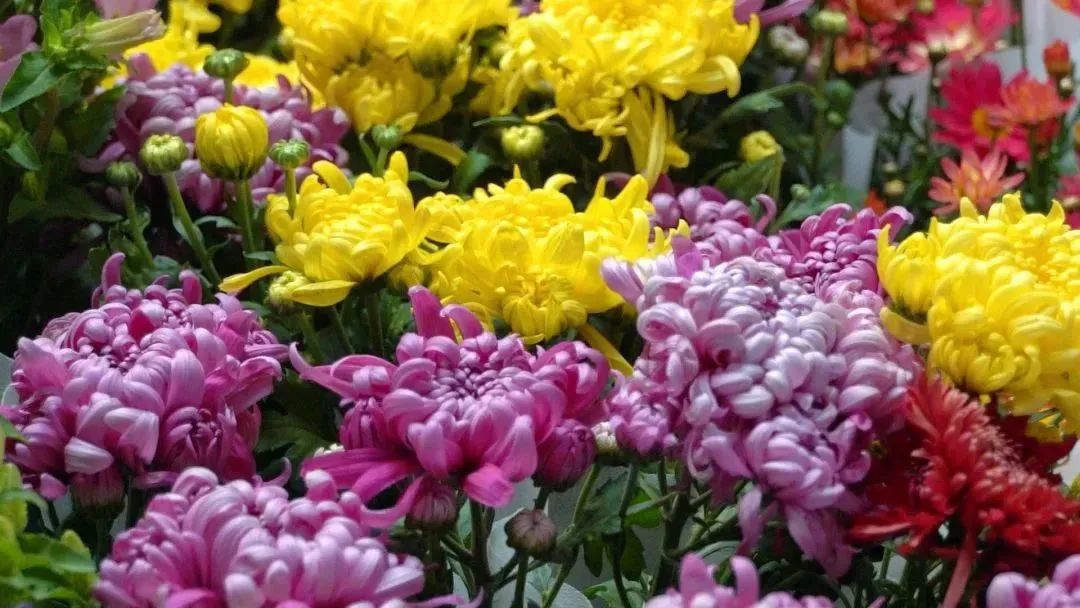 昆明市呈贡区人民法院