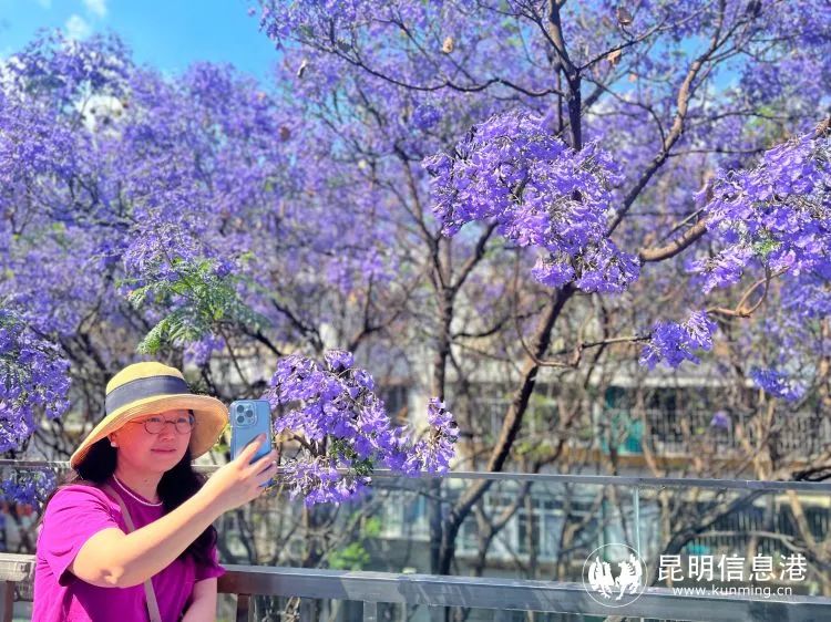 昆明西山发布