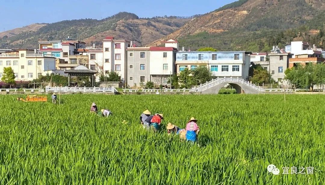宜良之窗