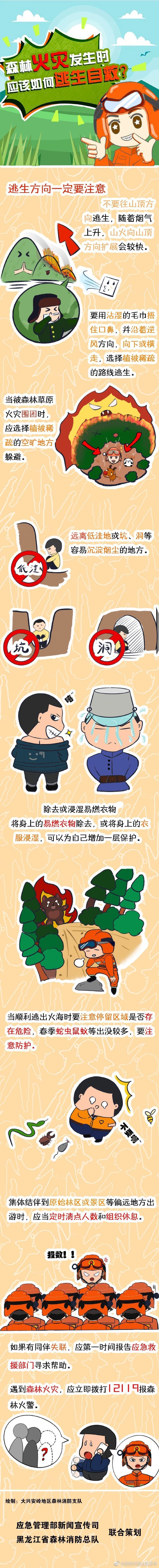 面对森林火灾应如何逃生自救？