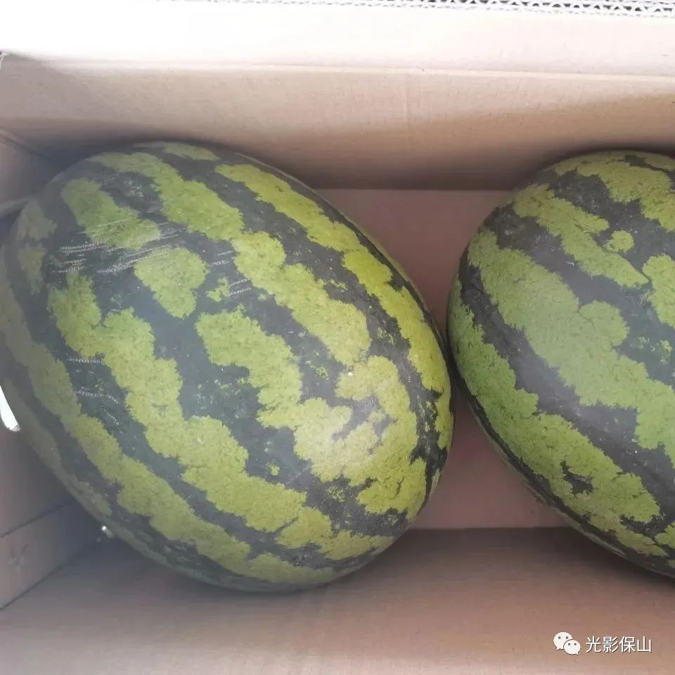 保山新闻网