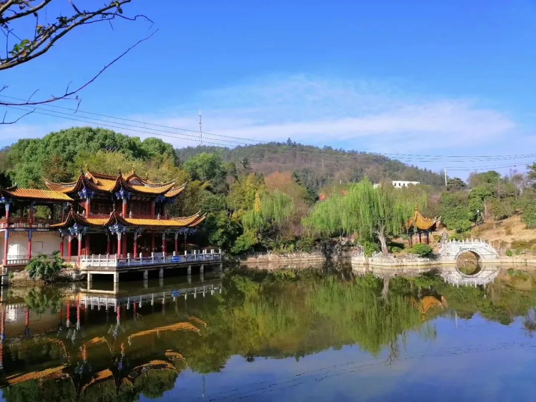 云南省文化和旅游厅
