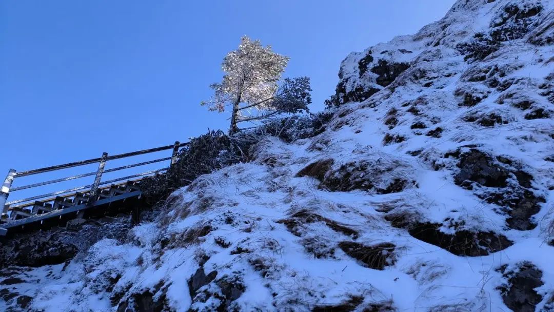 昆明轿子山旅游