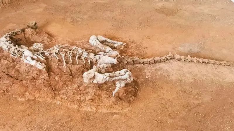 云南省文化和旅游厅