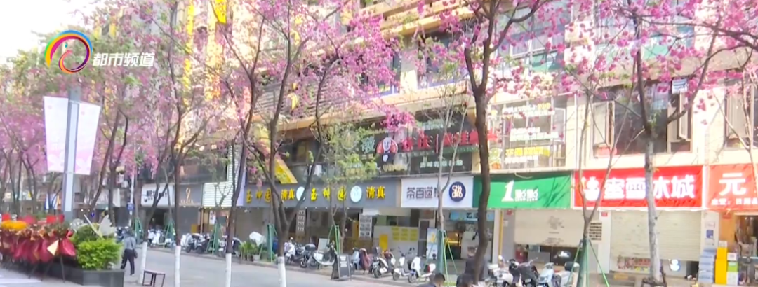 昆明信息港/cnkmxxg