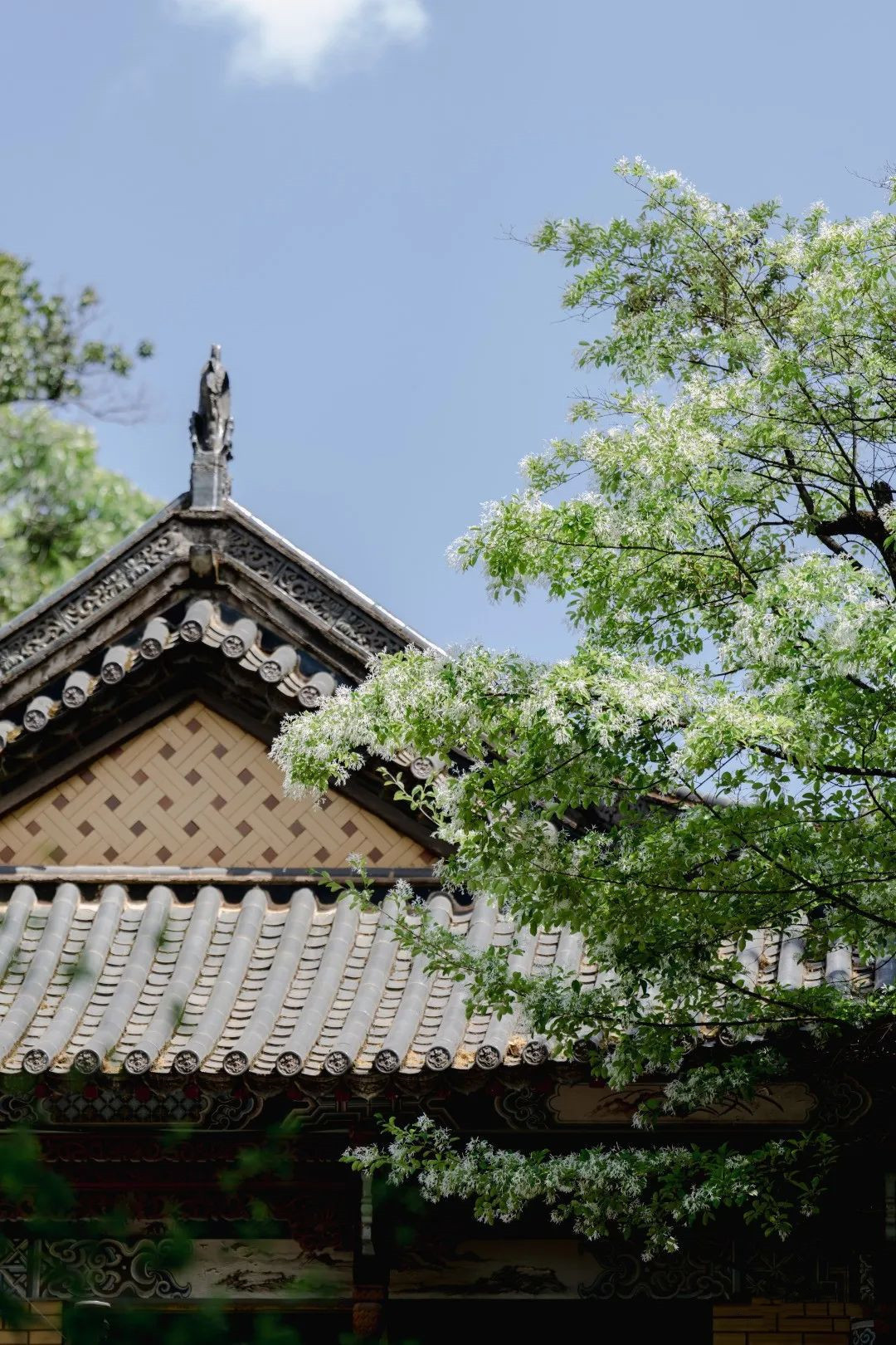 云南省文化和旅游厅