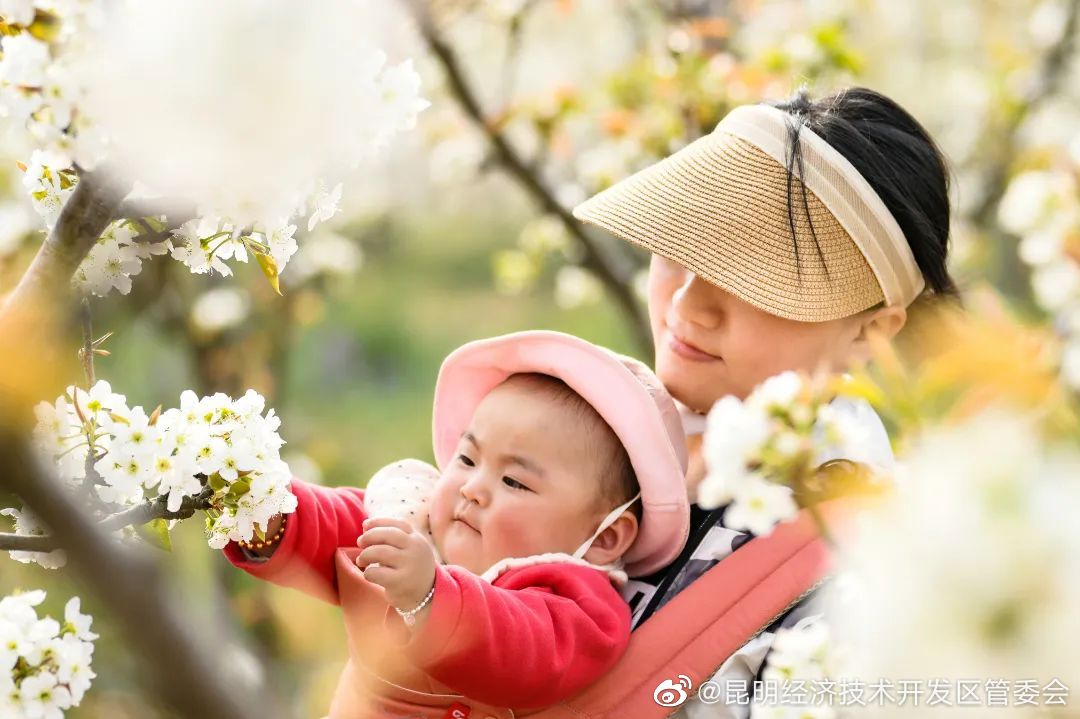 昆明经济技术开发区管委会