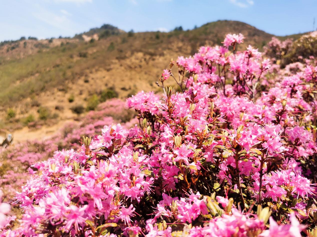 昆明文旅
