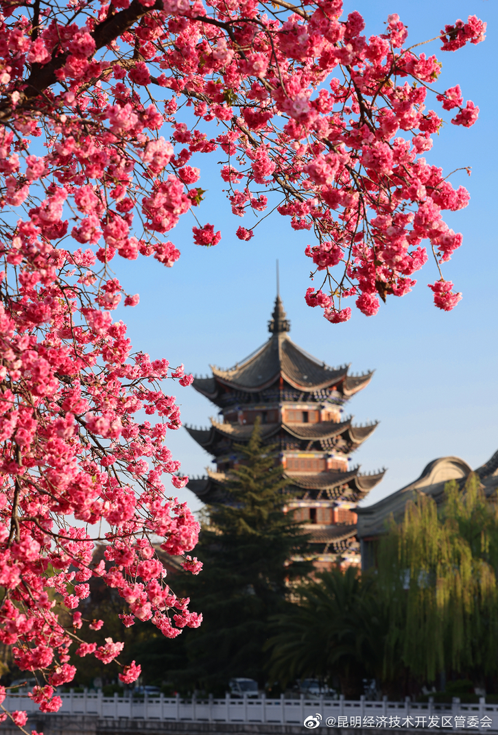 昆明经济技术开发区管委会