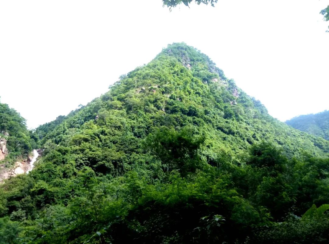 普洱日报