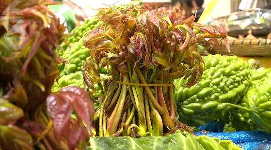 昆明信息港/cnkmxxg