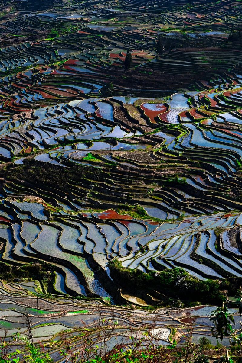 云南省文化和旅游厅