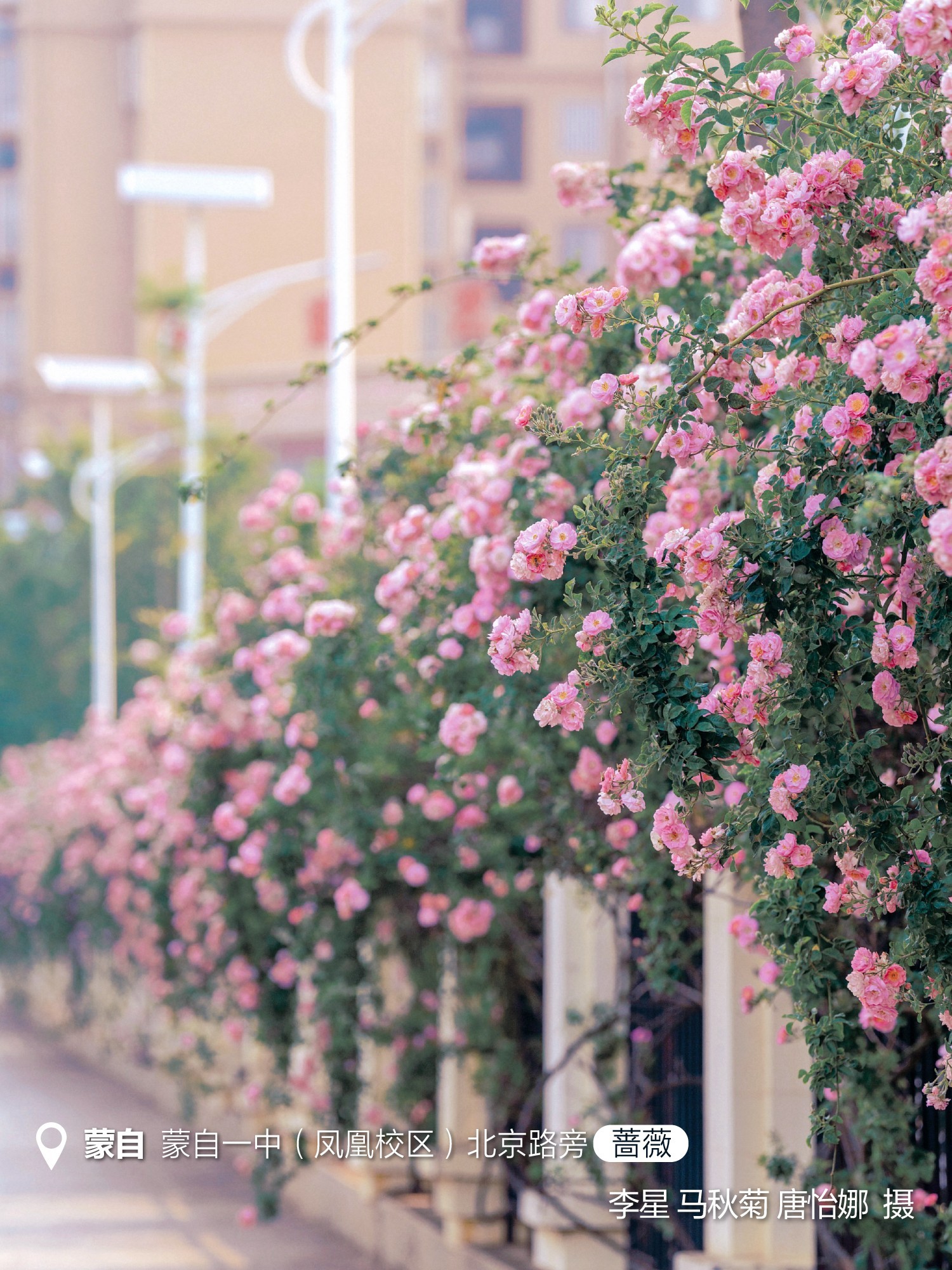云南省文化和旅游厅