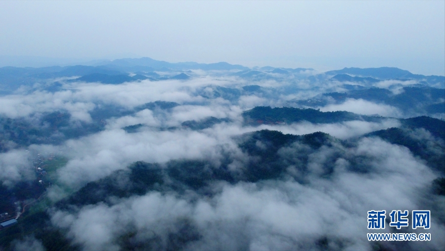 云南省文化和旅游厅