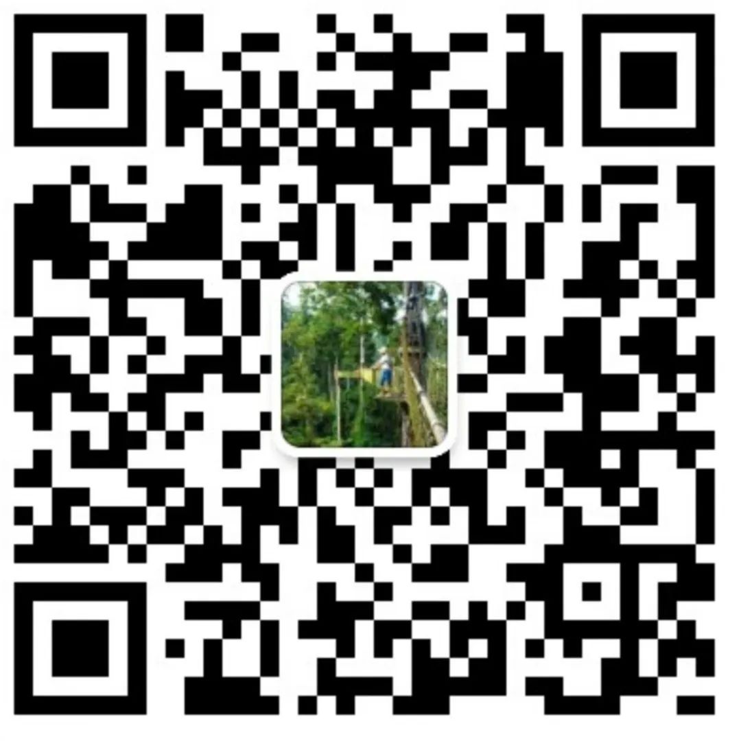 西双版纳望天树景区