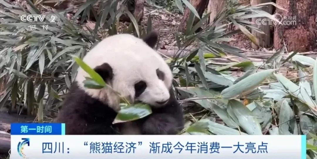 昆明信息港/cnkmxxg