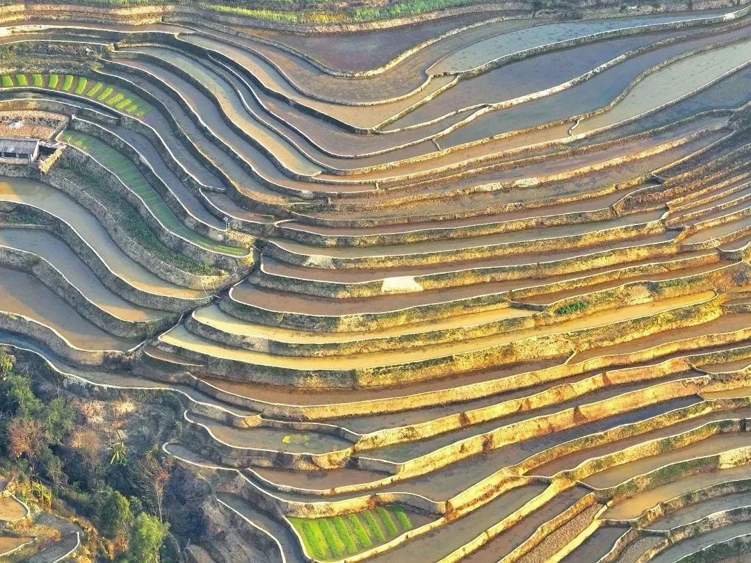 云南省文化和旅游厅