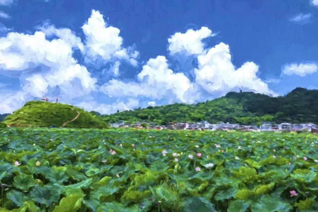 保山新闻网