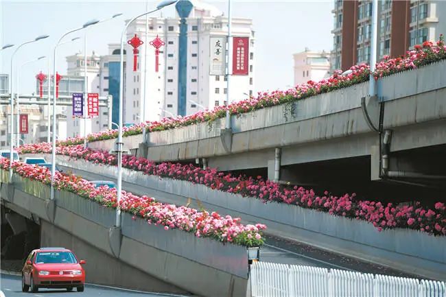 掌上春城