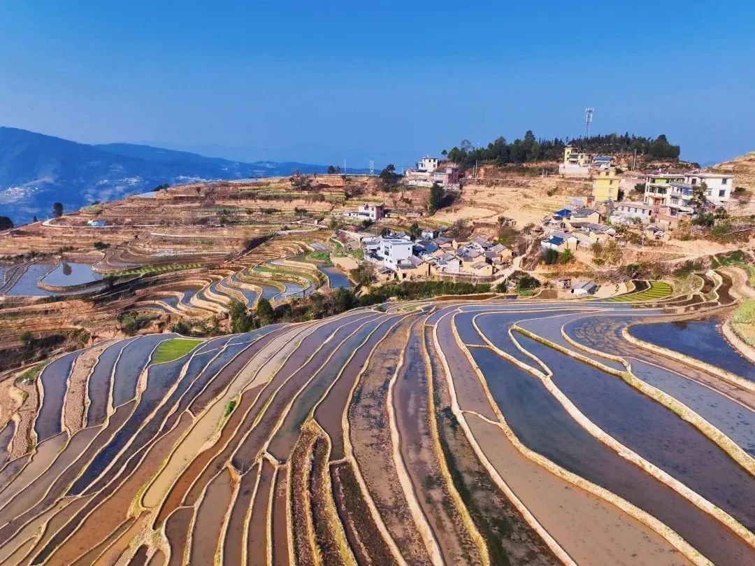 云南省文化和旅游厅