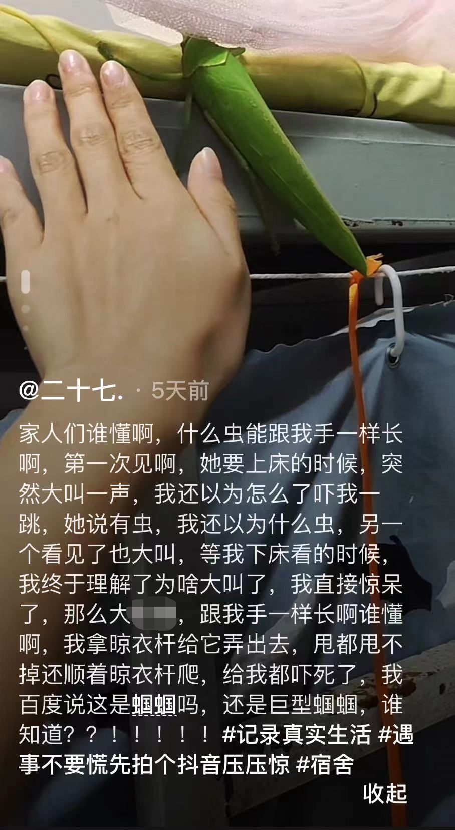 掌上春城
