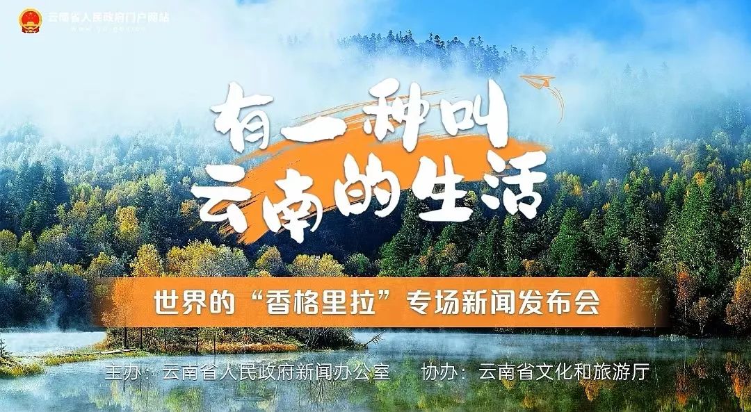 迪庆日报传媒
