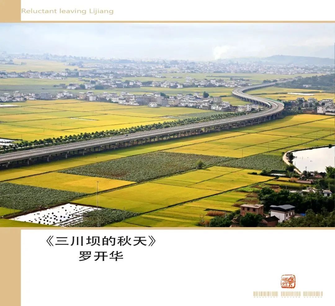 微丽江