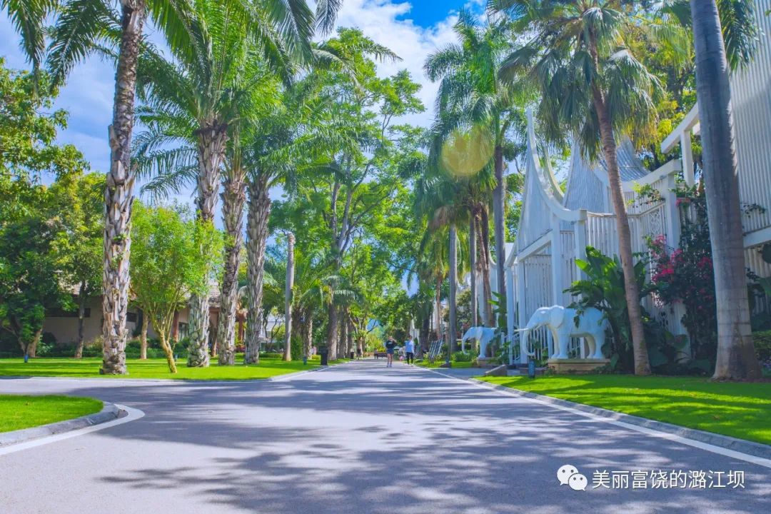 保山新闻网