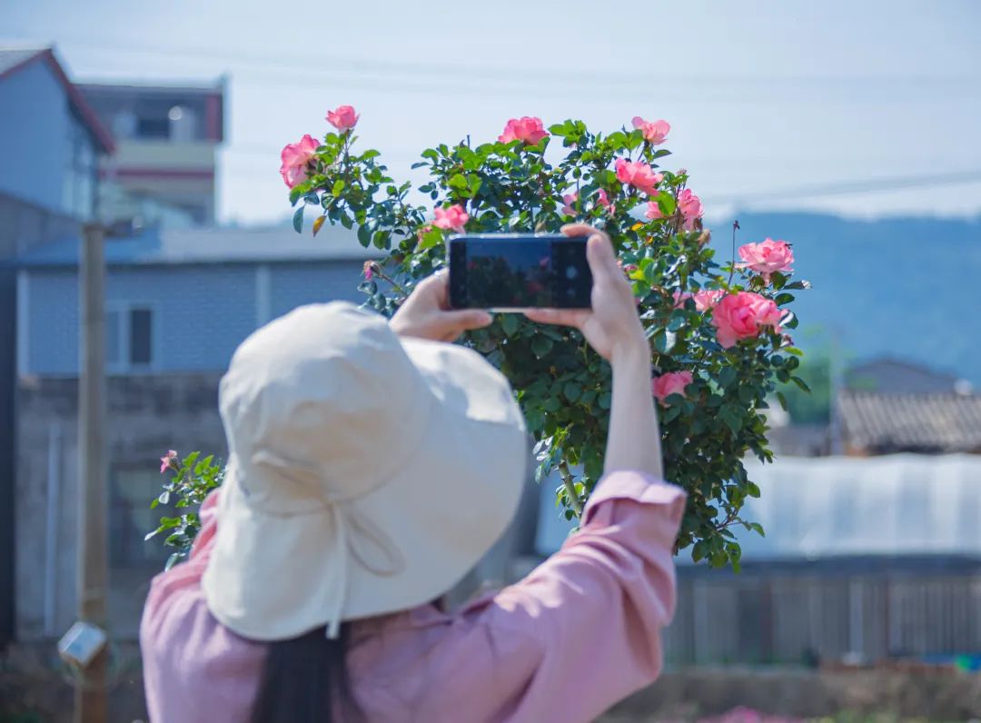晋宁诗意的栖居地
