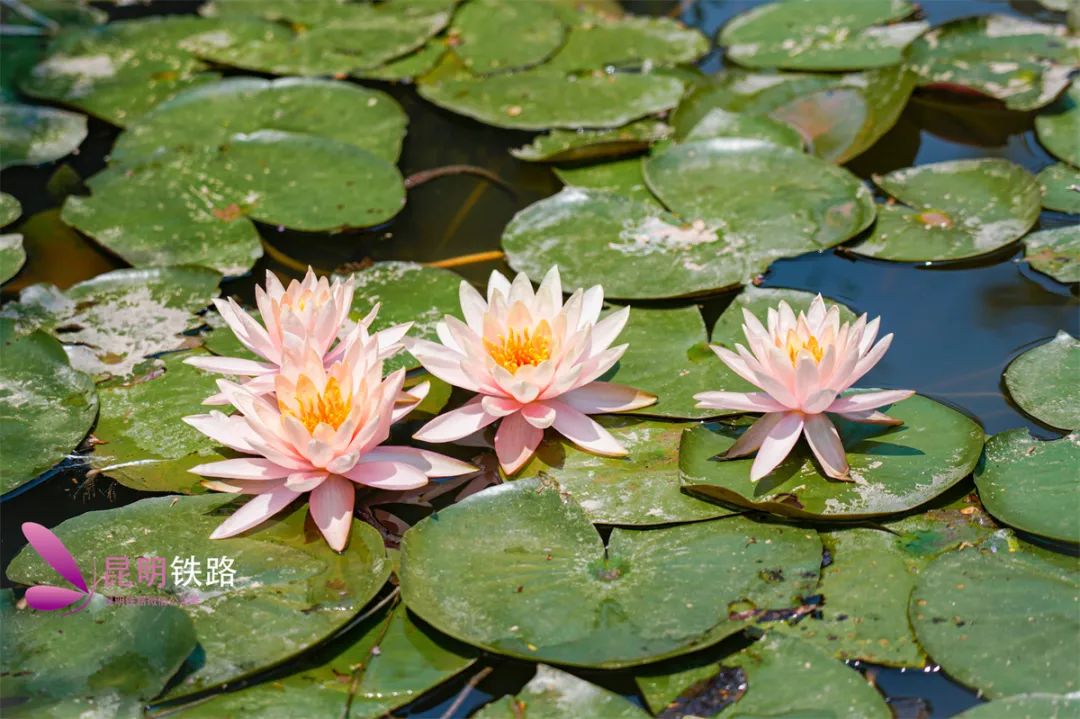 昆明铁路