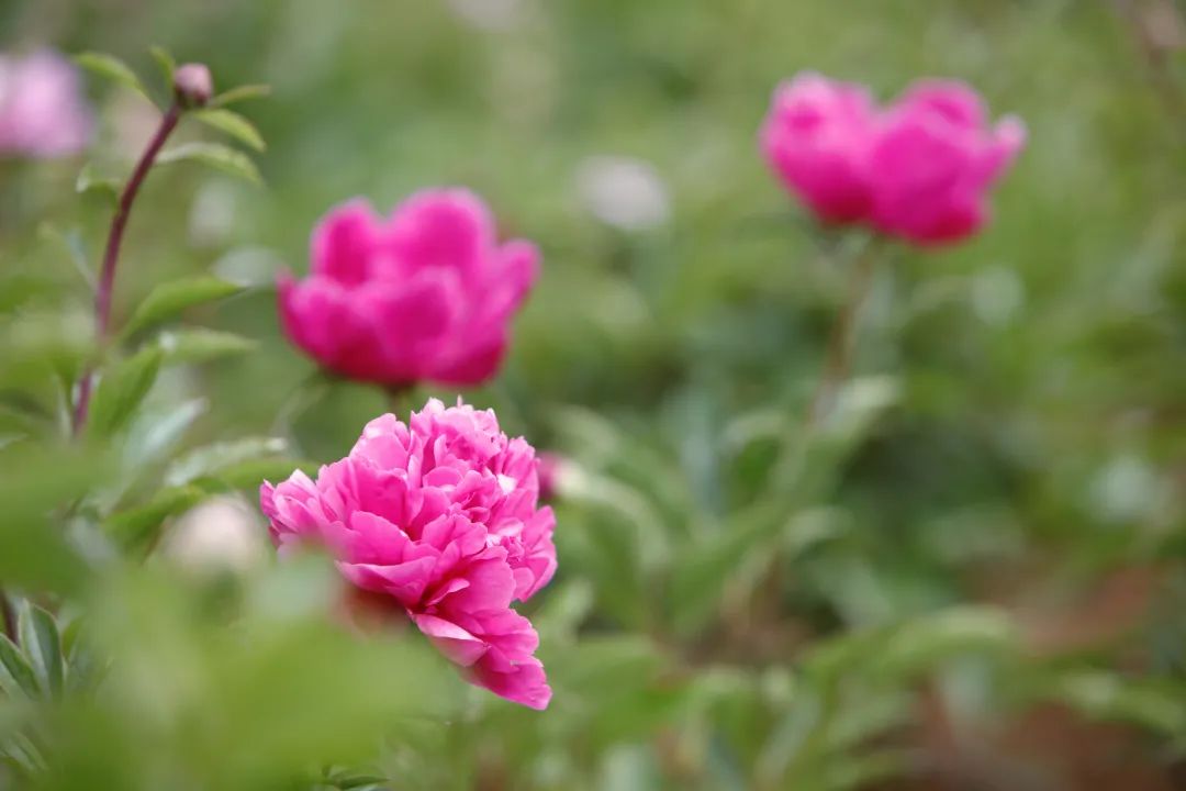 昆明阳宗海风景名胜区