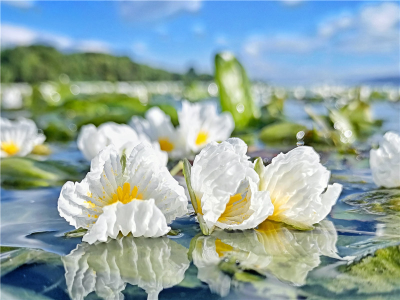 云南省文化和旅游厅